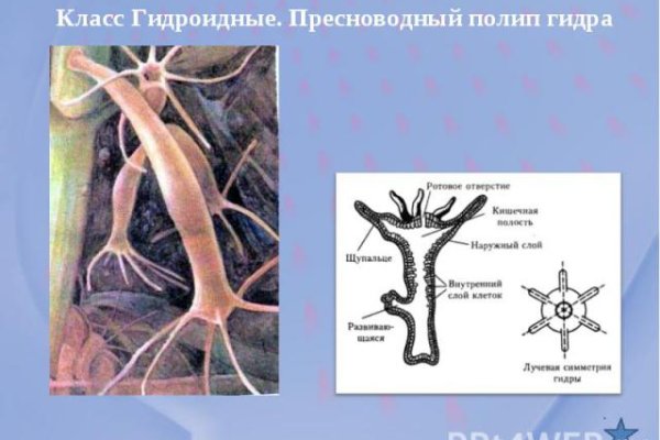 Кракен даркнет маркетплейс