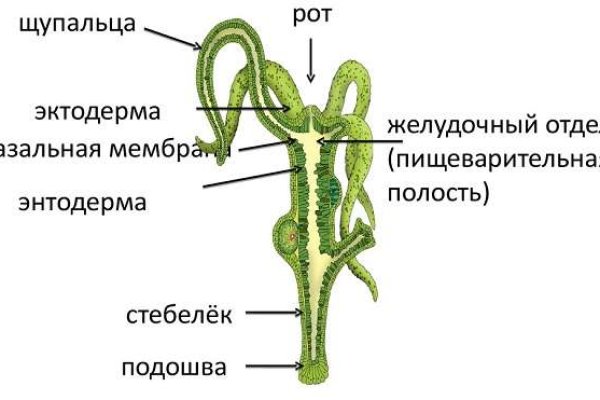 Кракен не приходят деньги