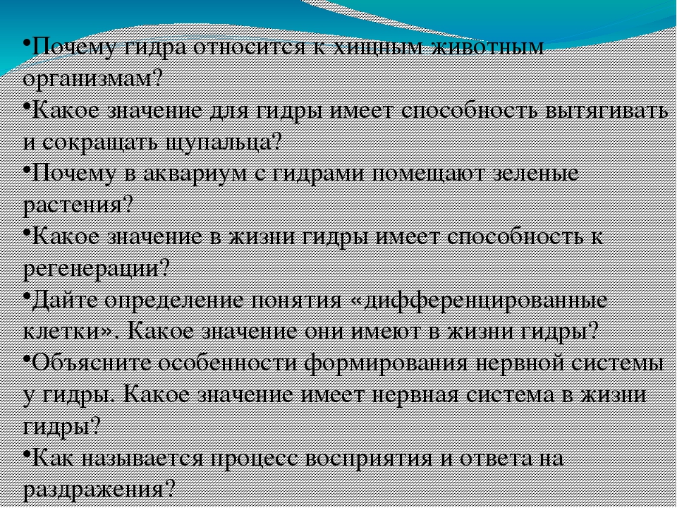 Как зарегистрироваться на кракене из россии